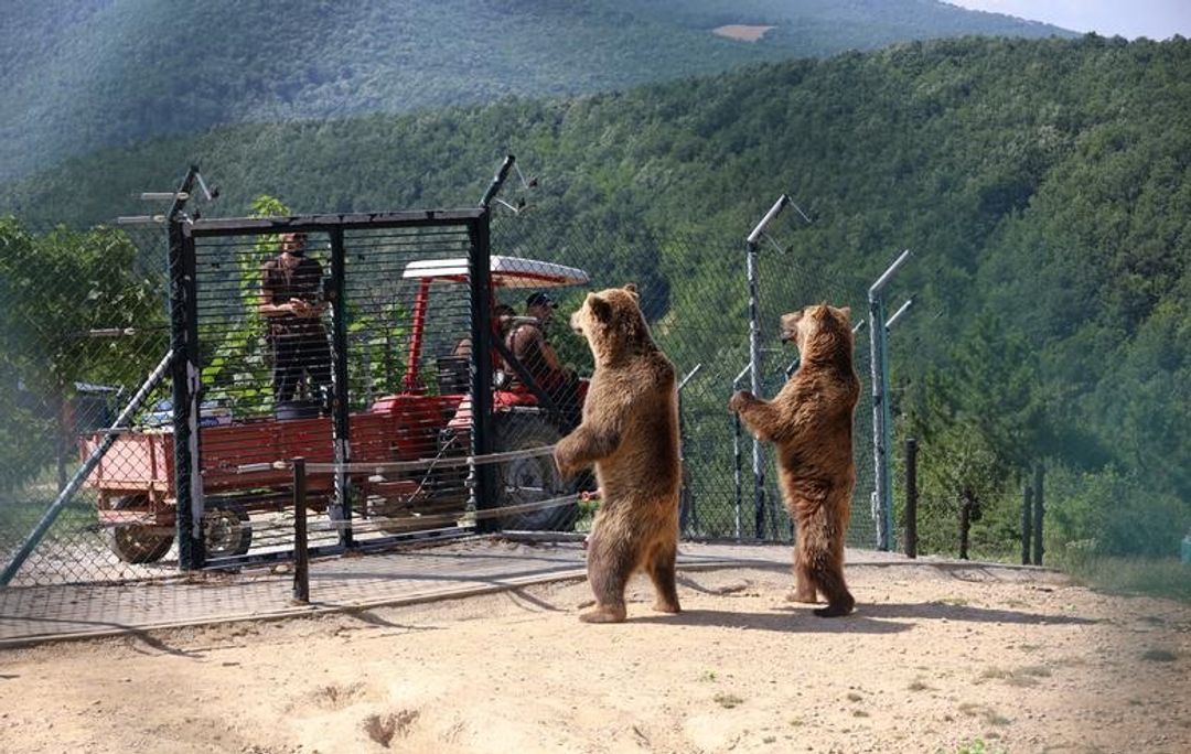 सबै तस्बिर :रोयटर्स